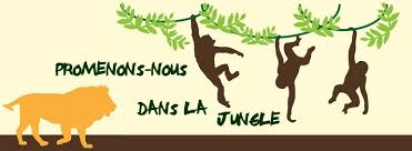 PARIS JUNGLE TOUR